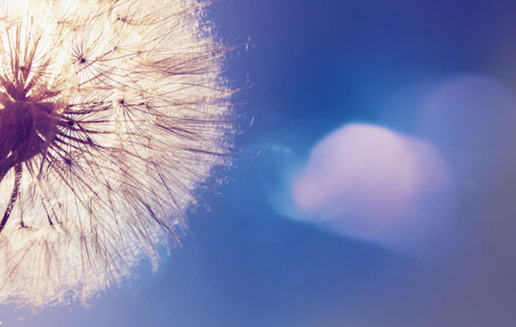 中国·美高梅mgm1888(股份)有限公司-官方网站